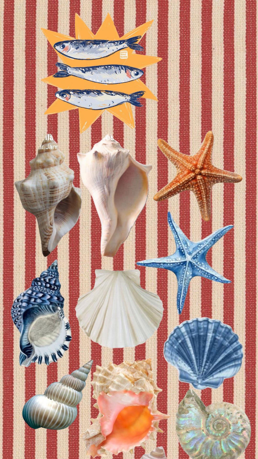 Fresh Shell